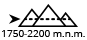 Papua New Guinea Ainora