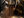 Mr Coffee 02 19 030